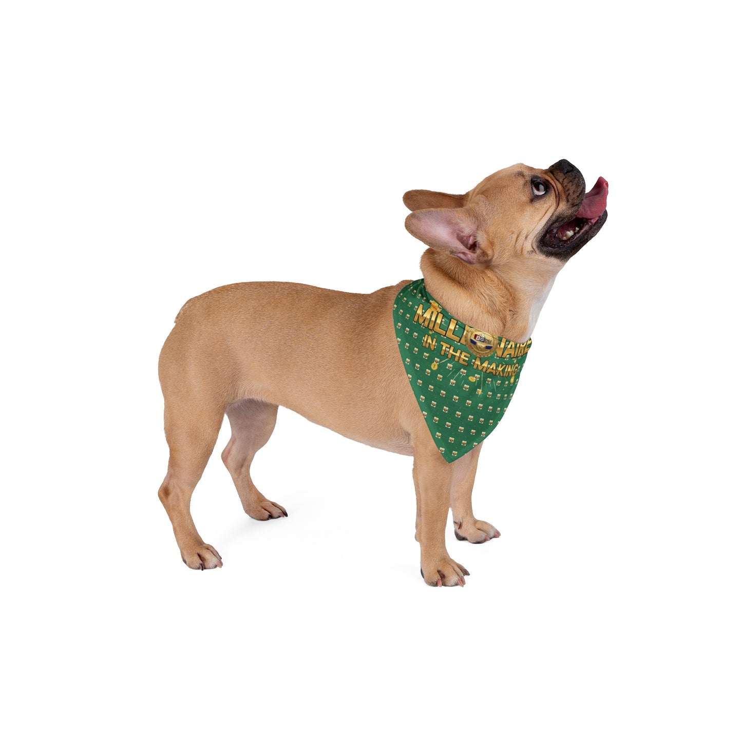 BG Wealth Shairng Pet Bandana: Millionaire in the Making, Dog Accessory, Pet Apparel