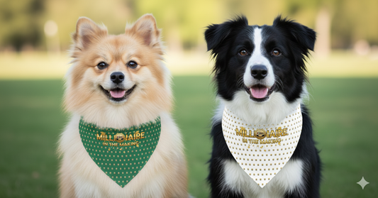BG Wealth Shairng Pet Bandana: Millionaire in the Making, Dog Accessory, Pet Apparel