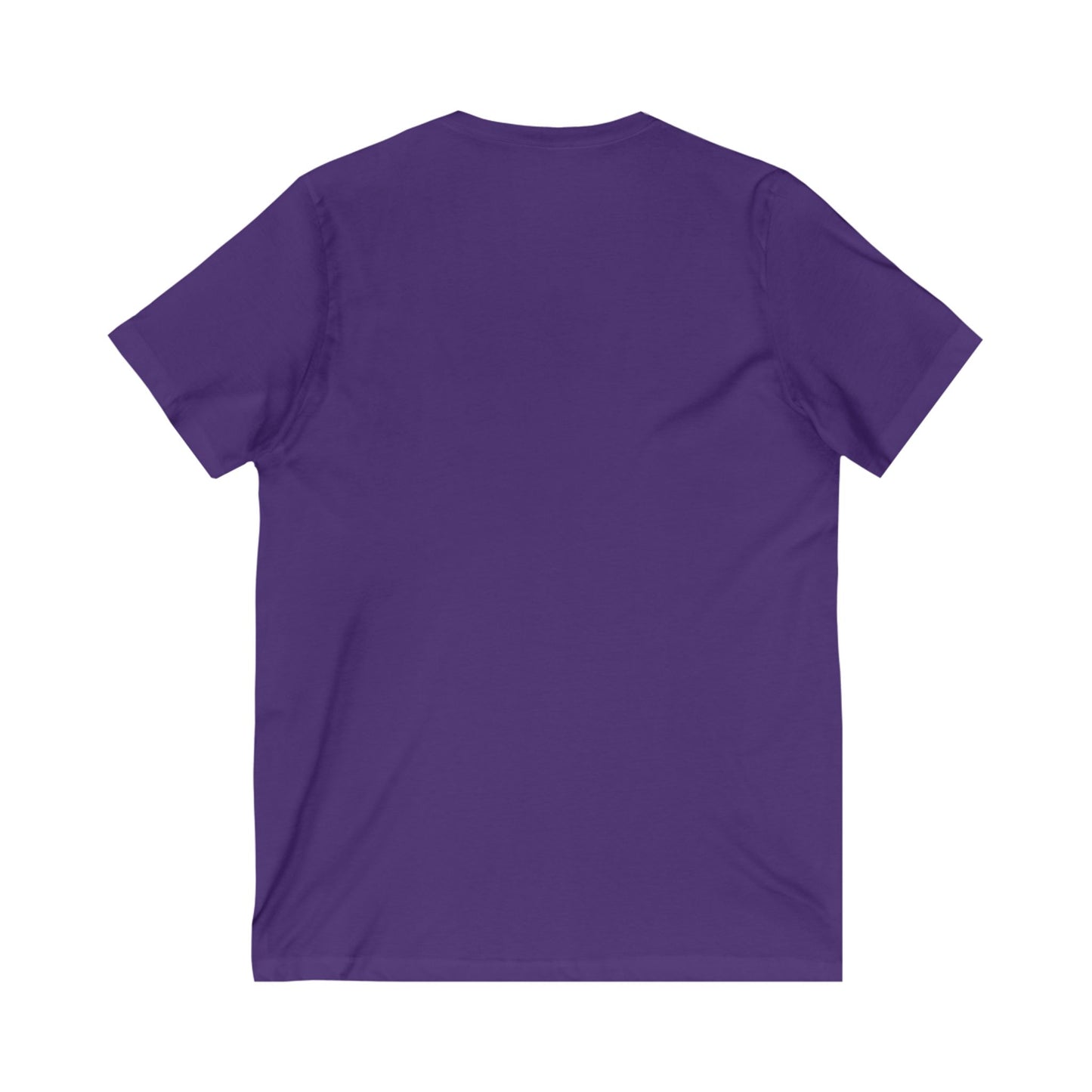 BG Wealth Sharing Investments Millionaire V-Neck Tee