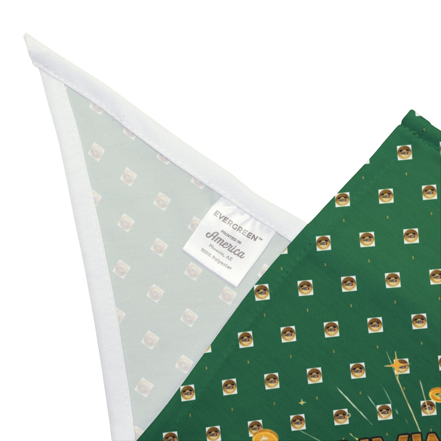 BG Wealth Shairng Pet Bandana: Millionaire in the Making, Dog Accessory, Pet Apparel